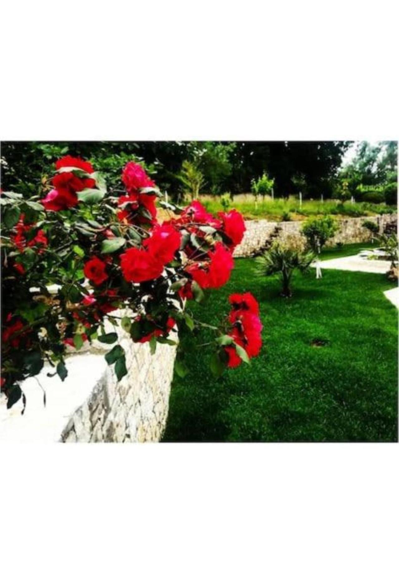 Petra House Villa Ano Korakiana Ngoại thất bức ảnh